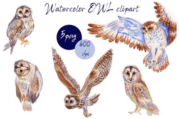 Boho Owl Clipart: Watercolor Woodland Illustrations