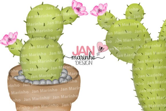 Desert Cactus Watercolor Clipart & Illustrations