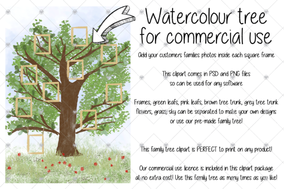 Family Tree Watercolour Illustrations Review