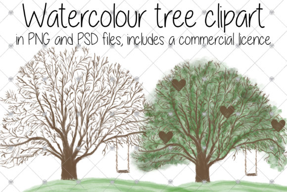 Family Tree Watercolour Illustrations Review