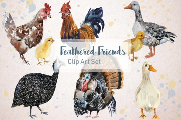 Feathered Friends Watercolor Clip Art & Illustrations