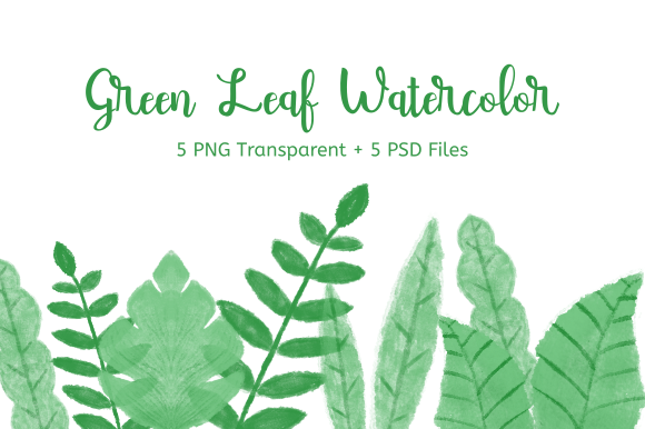 Green Leaf Watercolor Clipart & Illustrations