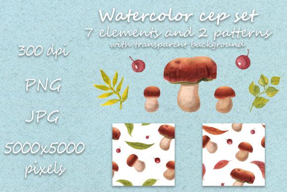 Watercolor Cep Set: Fresh Illustrations