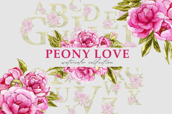 Watercolor Floral Set Pink Peony PNG Review