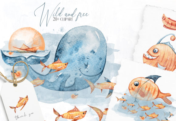 Watercolor Nursery Whales & Illustrations Review