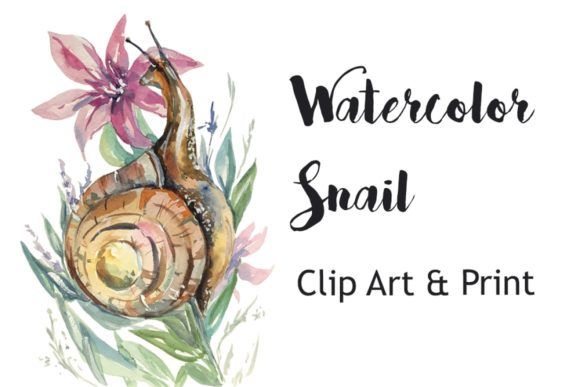 Watercolor Snail Clip Art & Illustrations