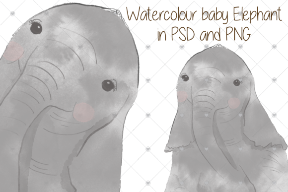 Watercolour Baby Elephant Zoo Illustrations